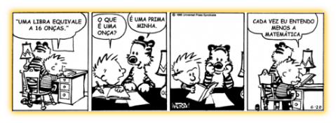 Calvin e a matemática
